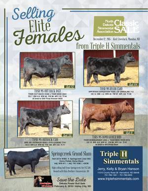 triple h simmentals hannaford north dakota hannaford oneonta flyer